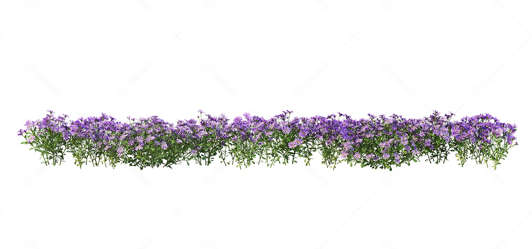 Lindas flores jardim