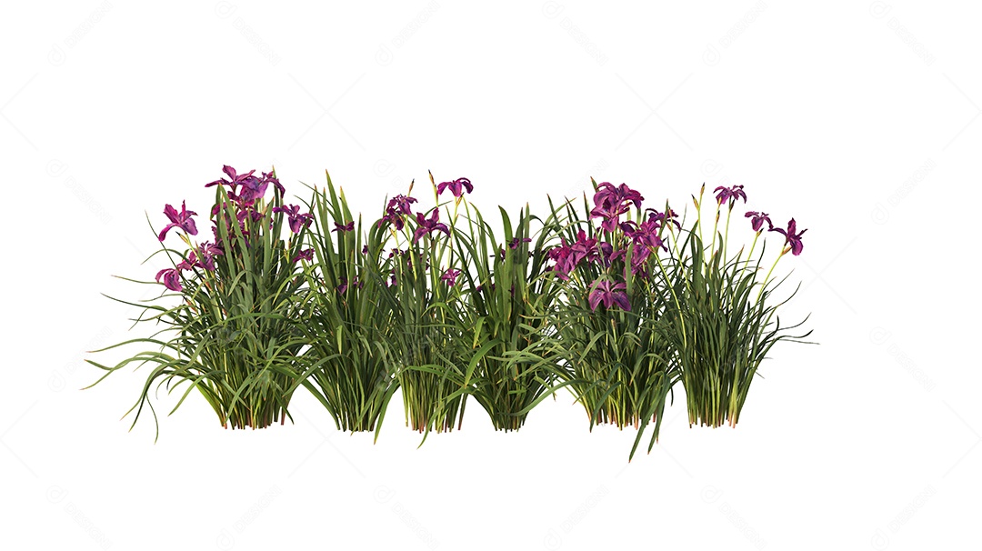 Moitas de matos sobre floresta