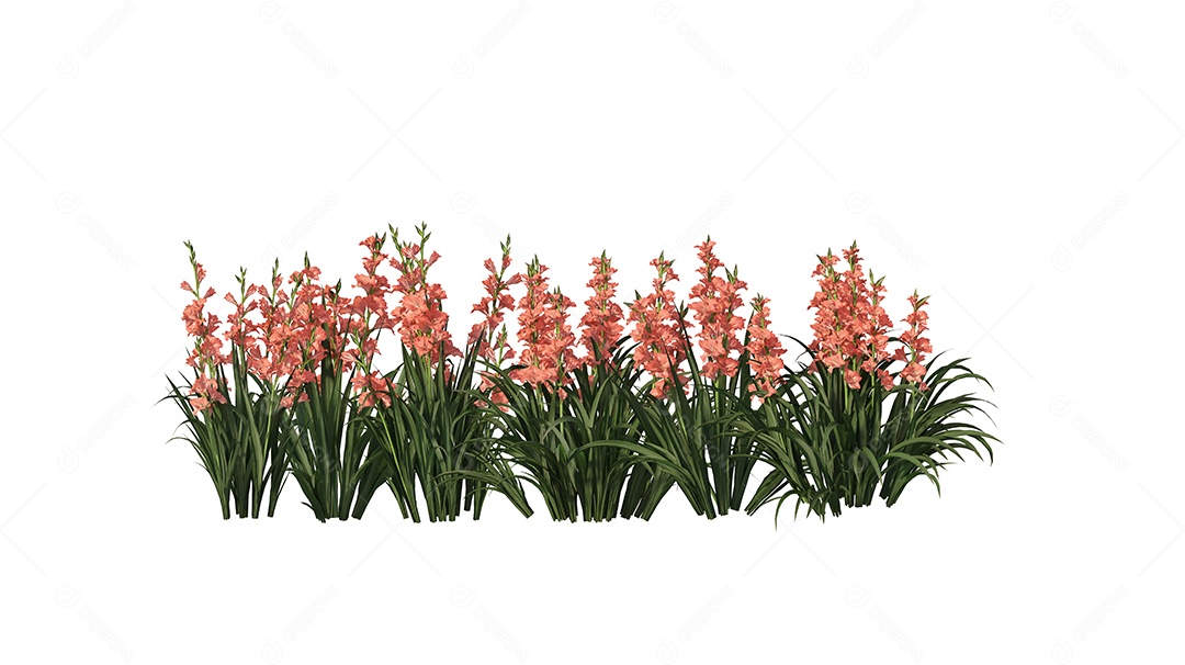 Moitas de matos sobre floresta