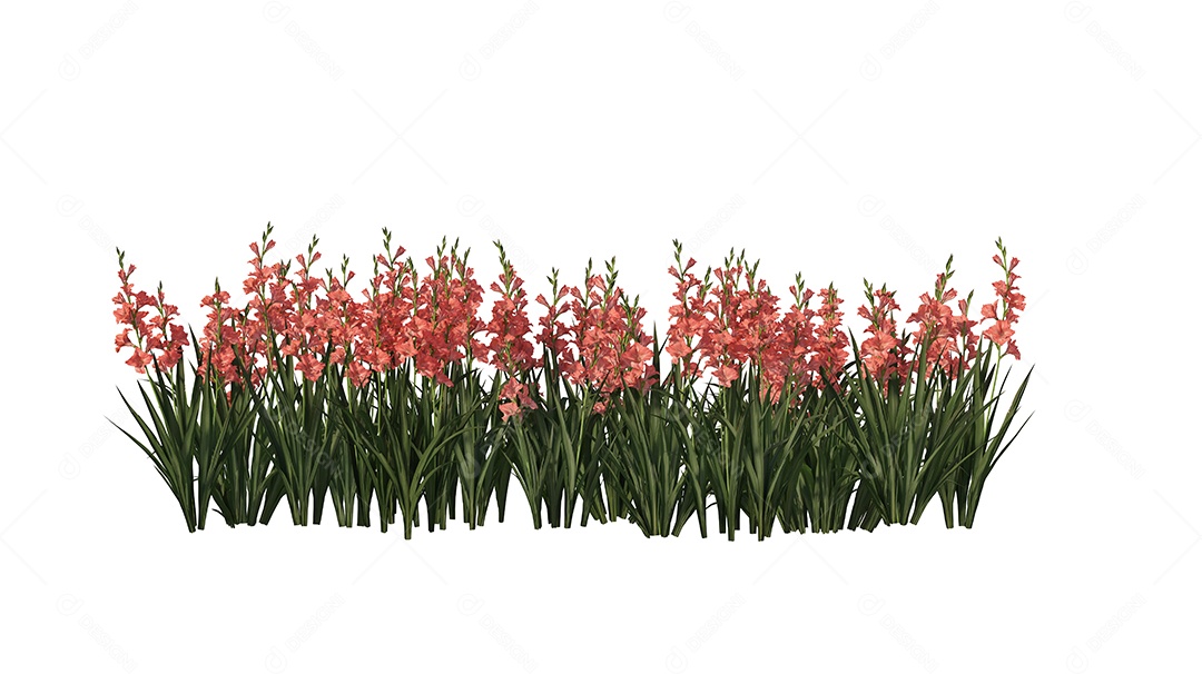 Moitas de matos sobre floresta