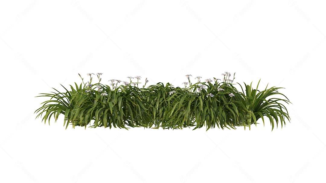 Moitas de matos sobre floresta