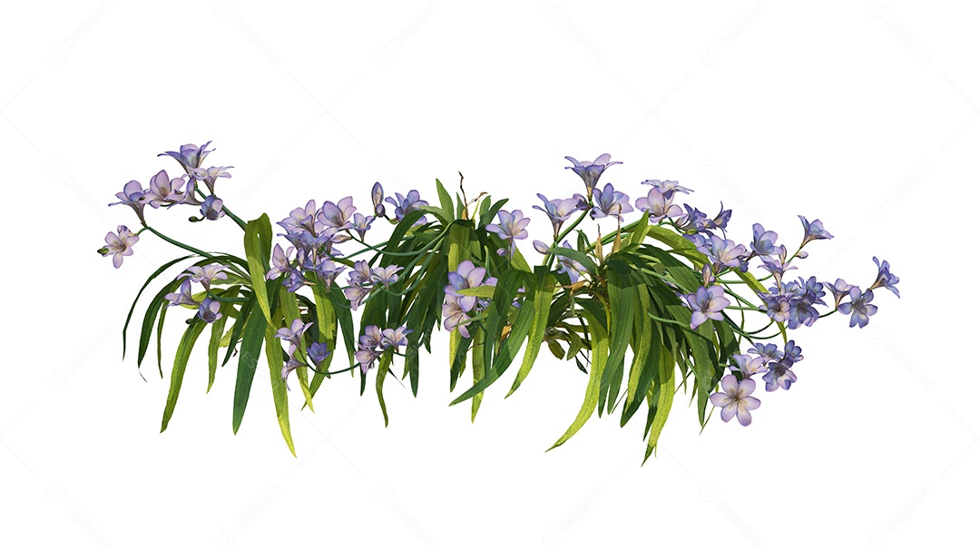 Lindas flores jardim