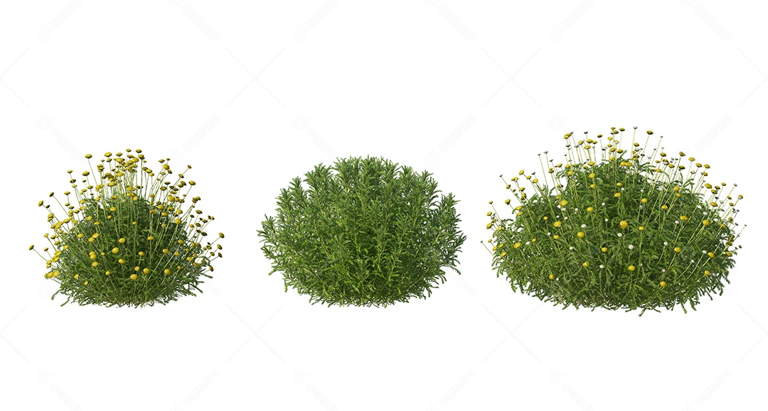 Moitas de matos sobre floresta