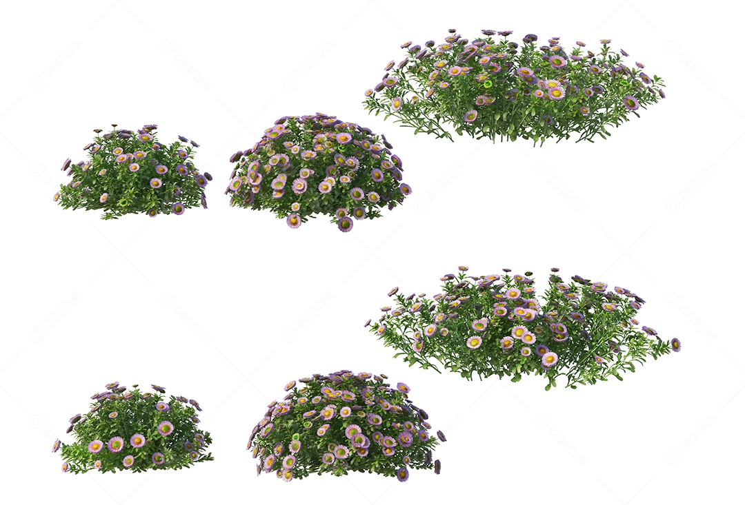 Lindas flores jardim