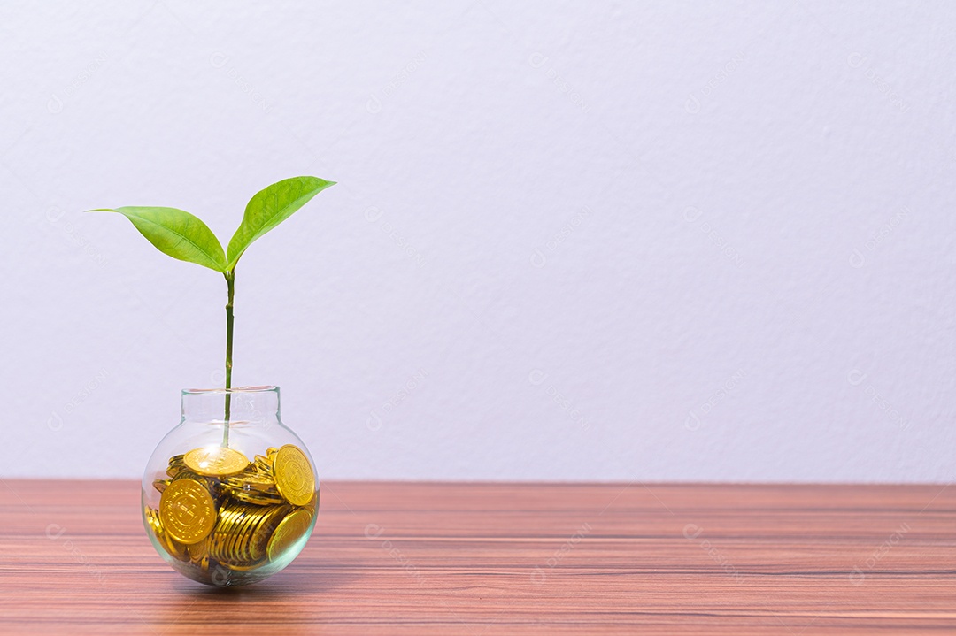 Ideia de plantio de árvore de dinheiro em sua mesa
