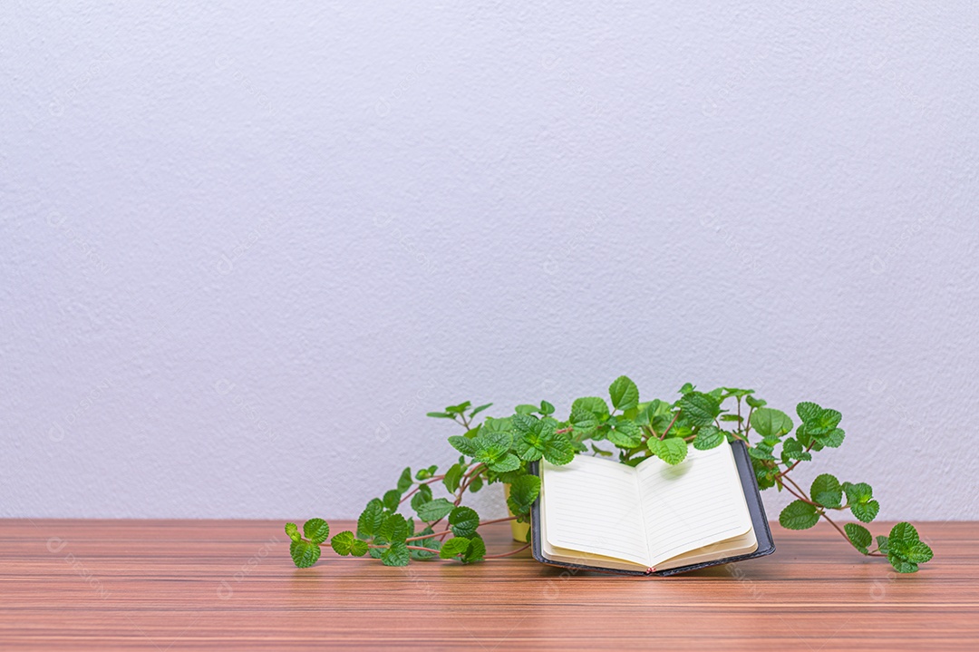 Livros e suprimentos estão em sua mesa