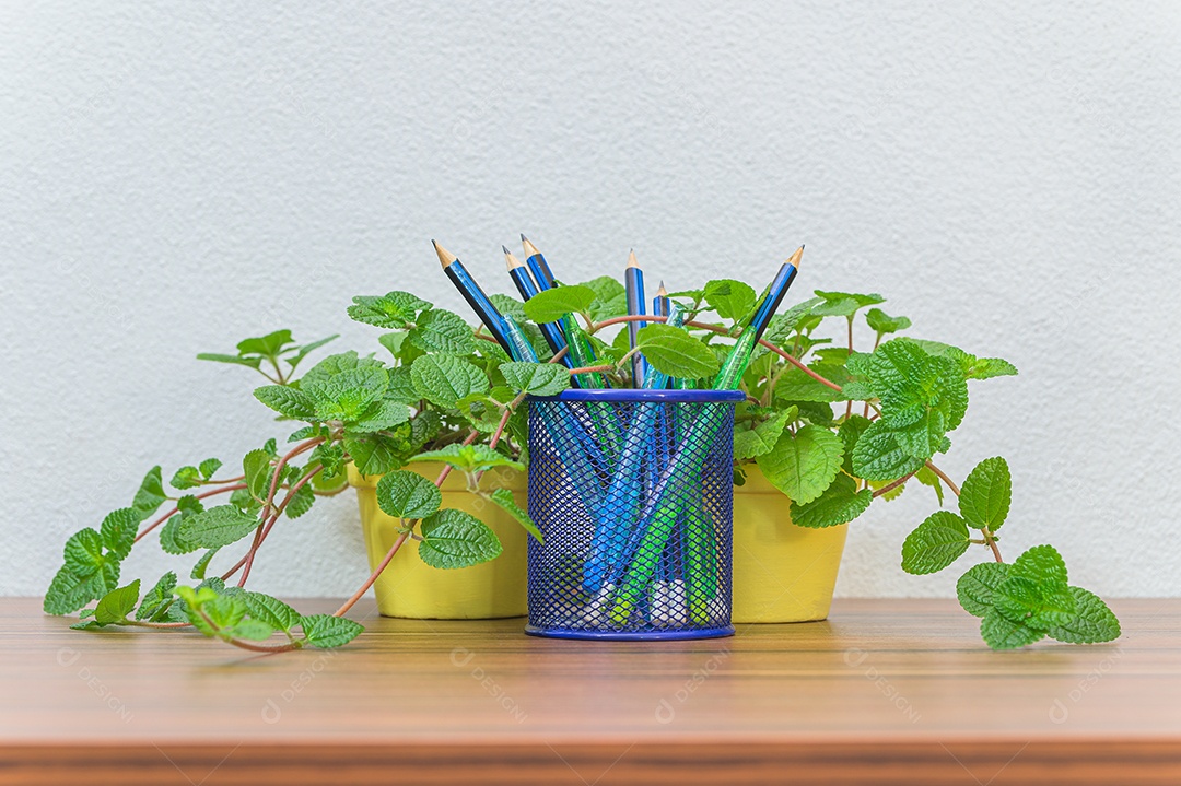 Canecas de café e plantas estão em sua mesa