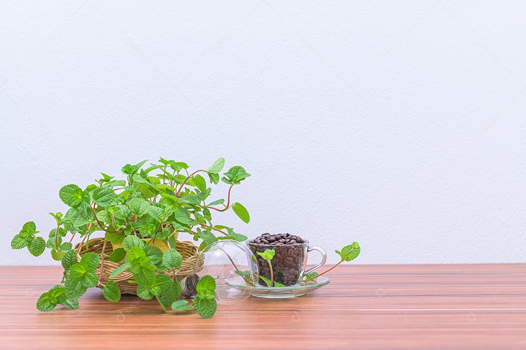 Vasos de plantas e lâmpadas estão localizados na mesa