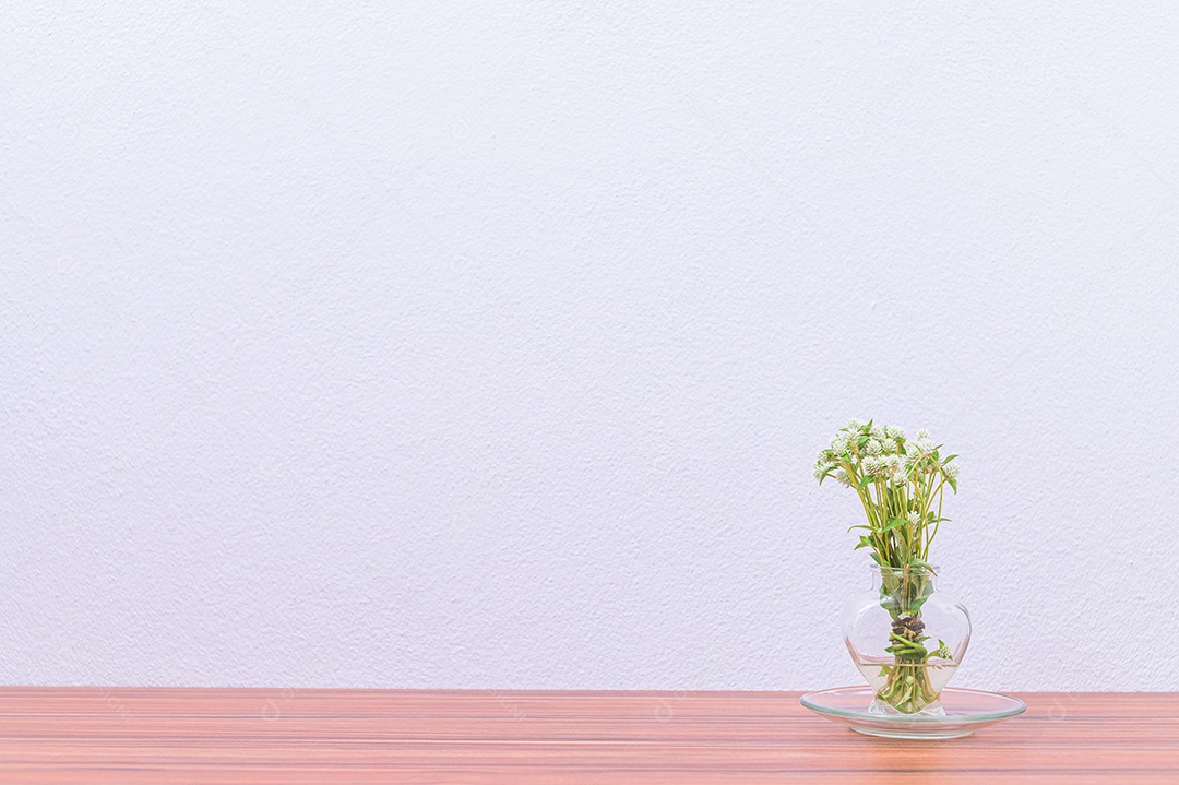 Vaso e plantas estão em sua mesa