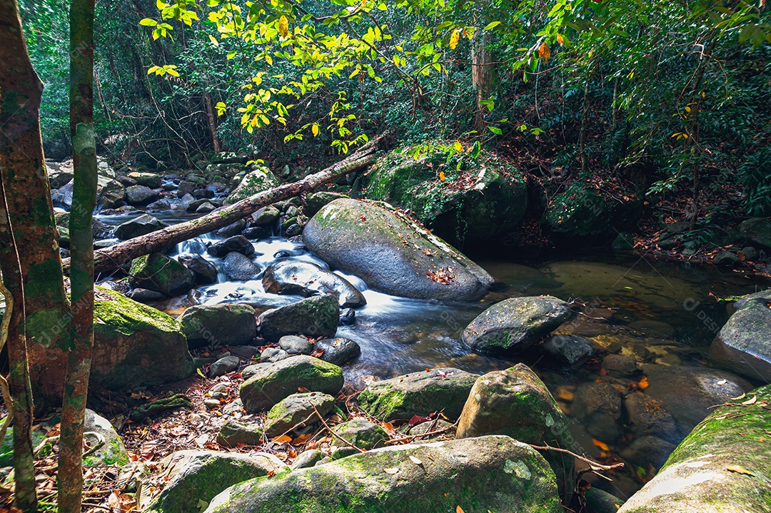 Khao Chamao Waterfall National Park Travel Concept love nature