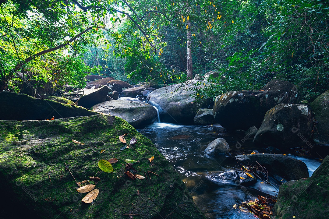 Conceito de viagem do Parque Nacional Khao Chamao Waterfall ama a natureza