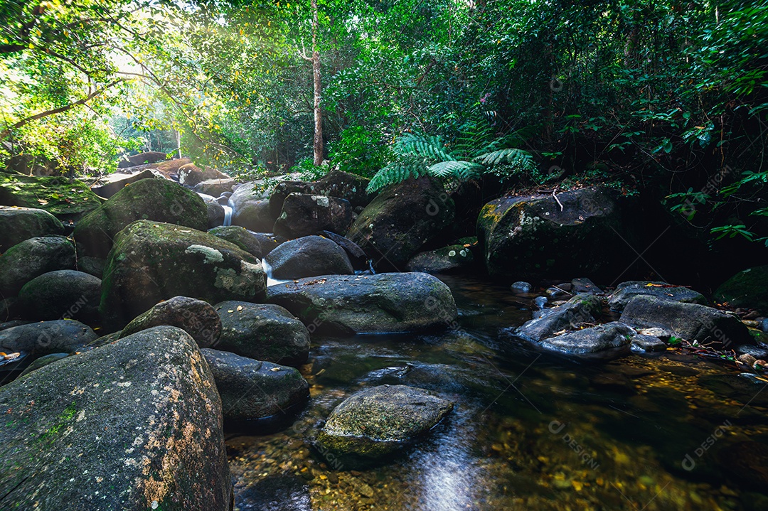 Khao Chamao Waterfall National Park Travel Concept love nature