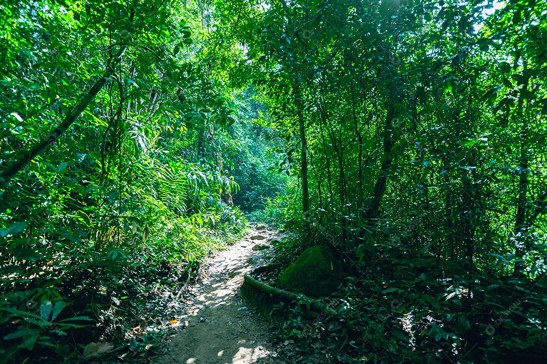 Khao Chamao Waterfall National Park Travel Concept love nature