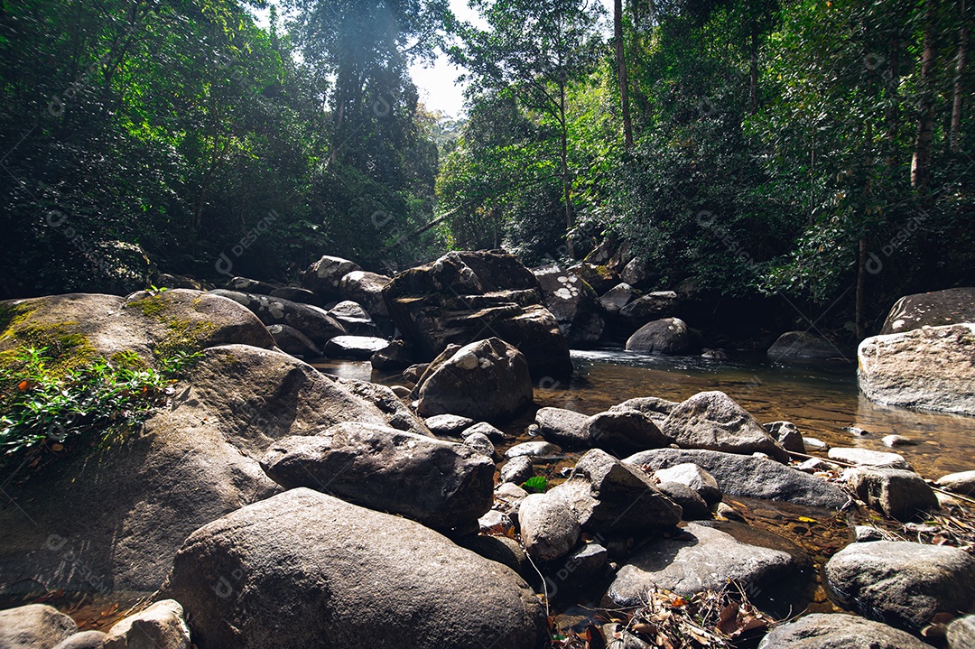 Conceito de viagem do Parque Nacional Khao Chamao Waterfall ama a natureza