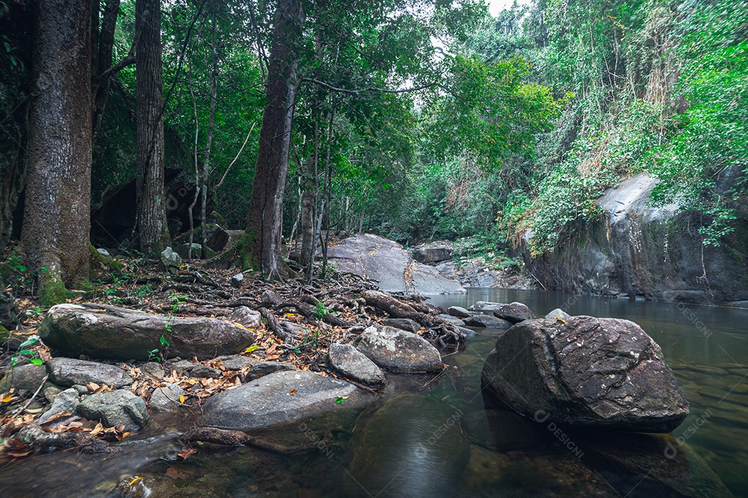 Conceito de viagem do Parque Nacional Khao Chamao Waterfall ama a natureza