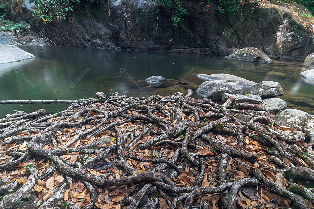 Conceito de viagem do Parque Nacional Khao Chamao Waterfall ama a natureza