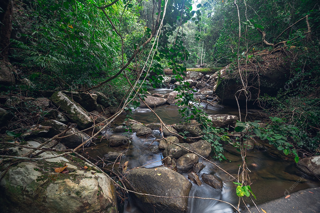 Conceito de viagem do Parque Nacional Khao Chamao Waterfall ama a natureza