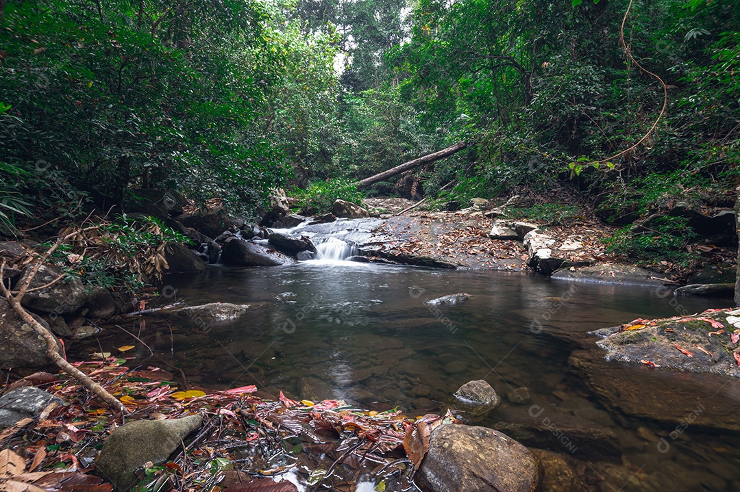Conceito de viagem do Parque Nacional Khao Chamao Waterfall ama a natureza