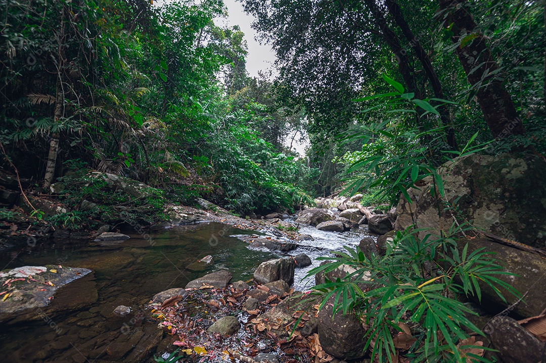 Conceito de viagem do Parque Nacional Khao Chamao Waterfall ama a natureza