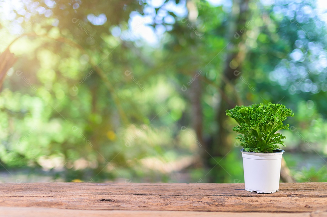 Vaso de planta na mesa