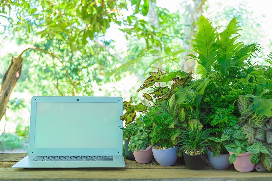 Notebook e equipamento estacionário Na mesa, visão natural