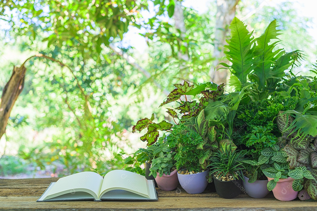 Livros, materiais de papelaria estão na mesa.