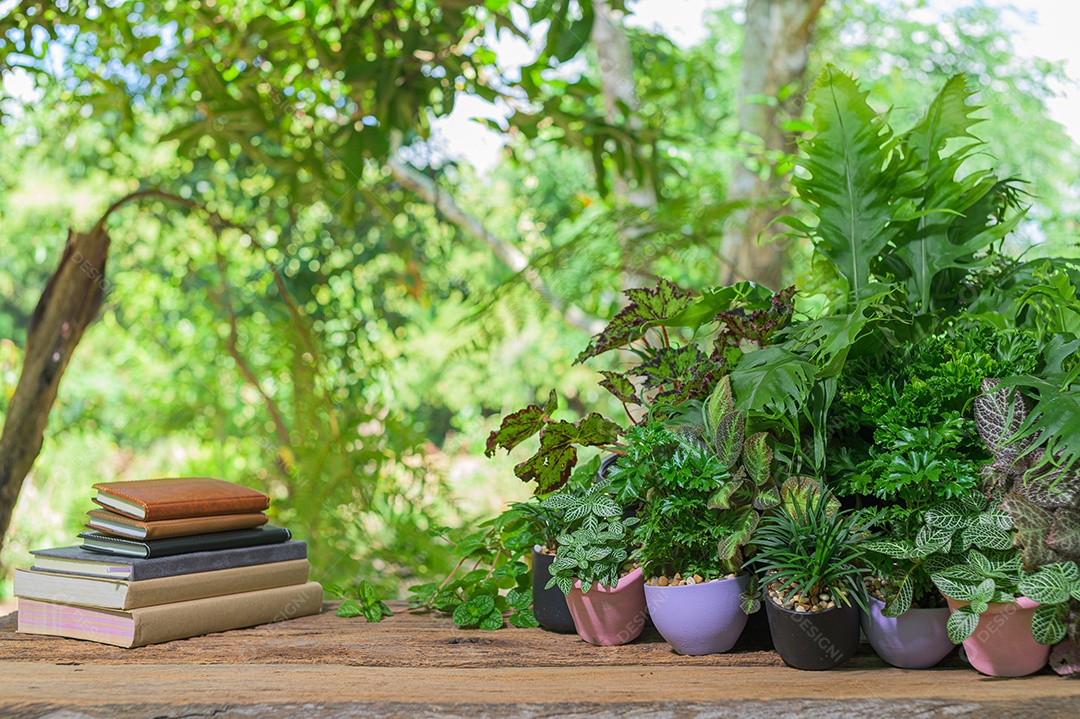 Livros, materiais de papelaria estão na mesa.