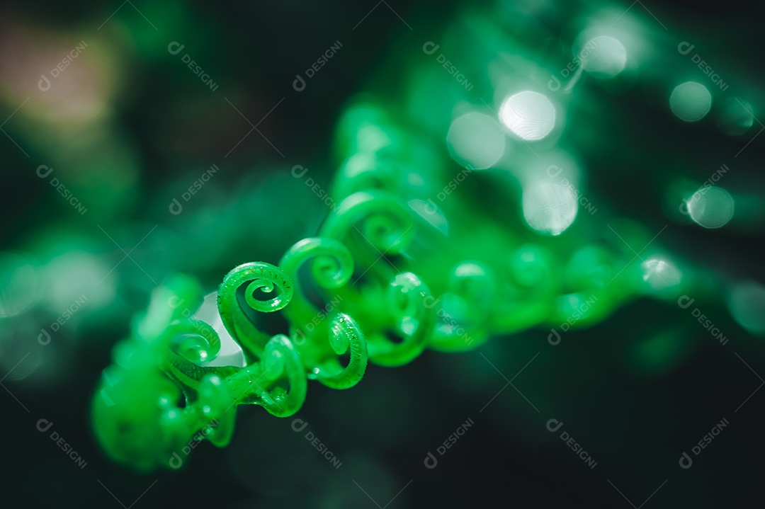 Conceito de amor ambiental ama o fundo da folha verde da natureza