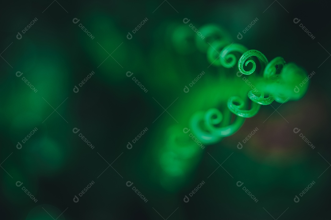 O conceito de amor ambiental ama o fundo da folha verde da natureza