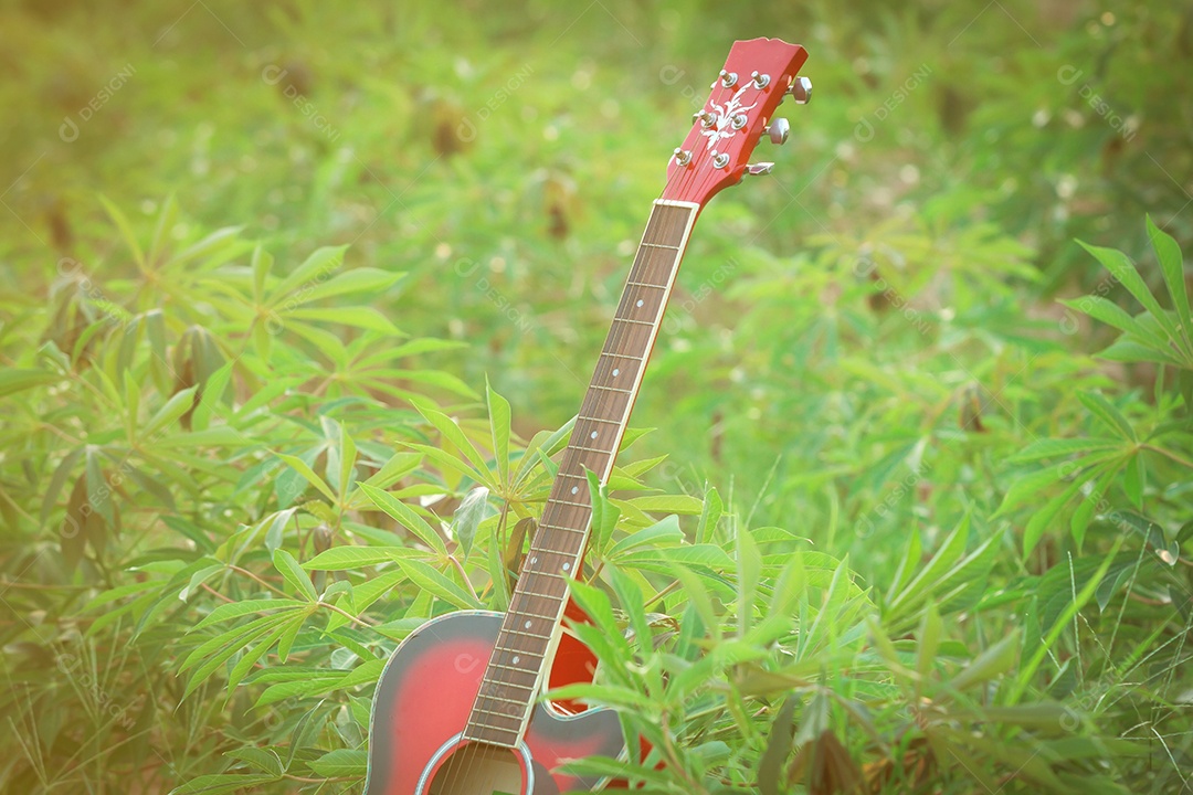 Foco embaçado e suave de guitarra na grama ao pôr do sol, tom vintage