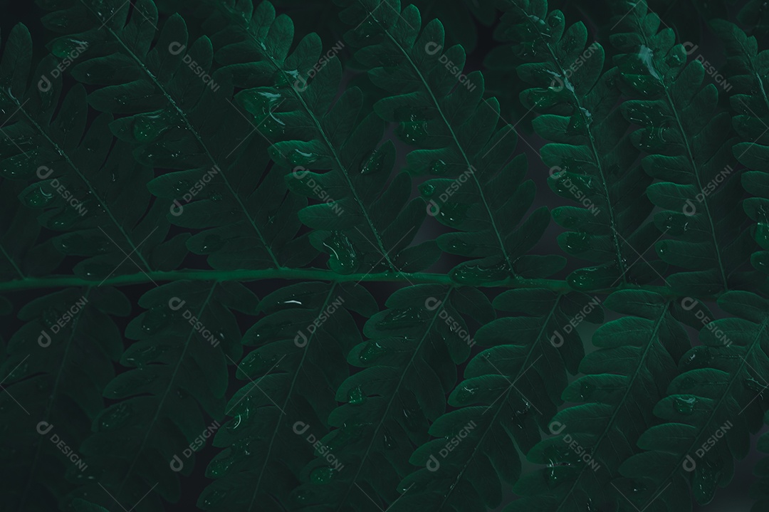 Fundo de folha verde mostrando o amor pela natureza e pelo meio ambiente