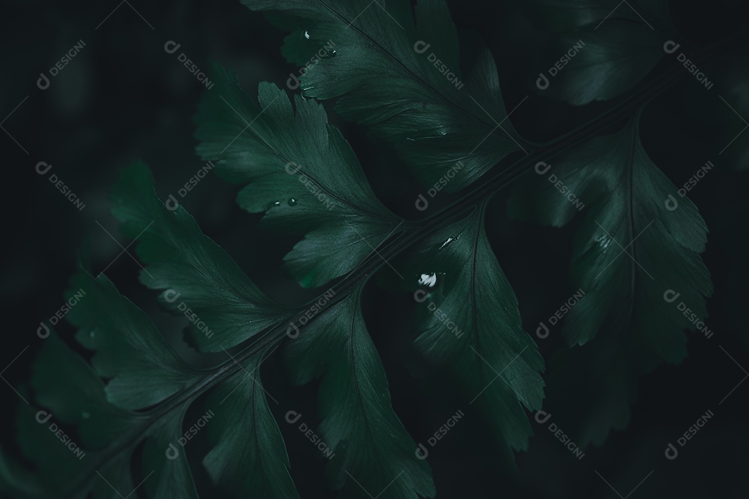 Fundo de folha verde mostrando o amor pela natureza e pelo meio ambiente