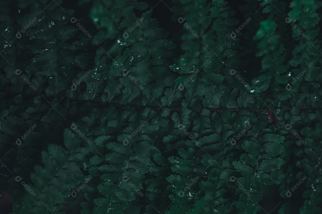 Fundo de folha verde mostrando o amor pela natureza e pelo meio ambiente