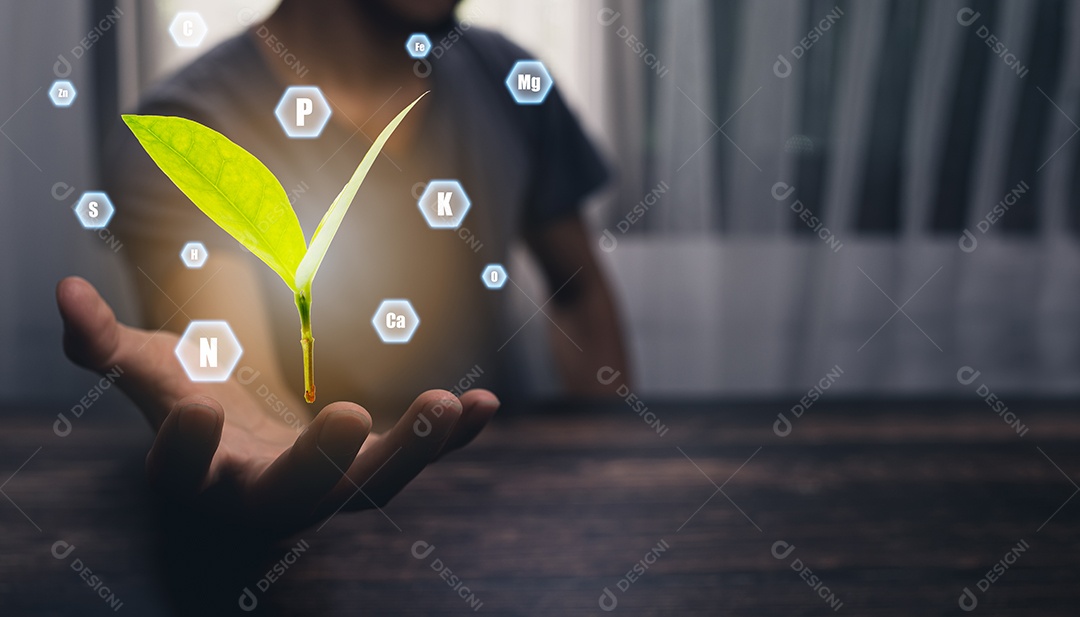 Pessoa estão mostrando minerais, ícones de nutrientes de plantas e plantas