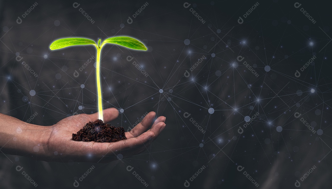 Mão segurando árvores conceito planta árvores amor natureza ilustração