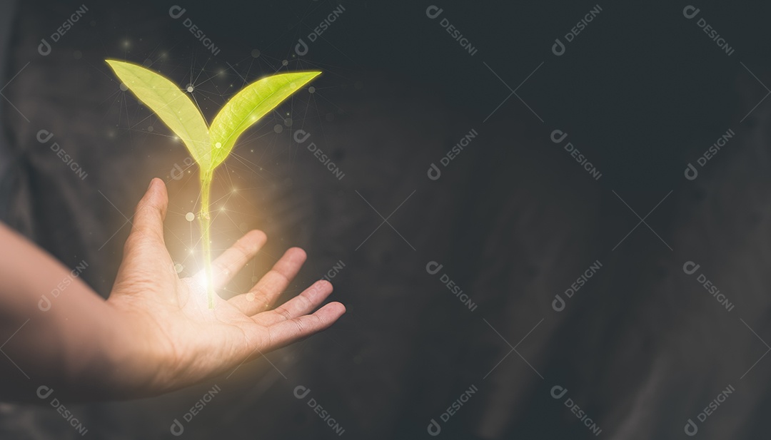 Mão segurando árvores conceito planta árvores amor natureza ilustração