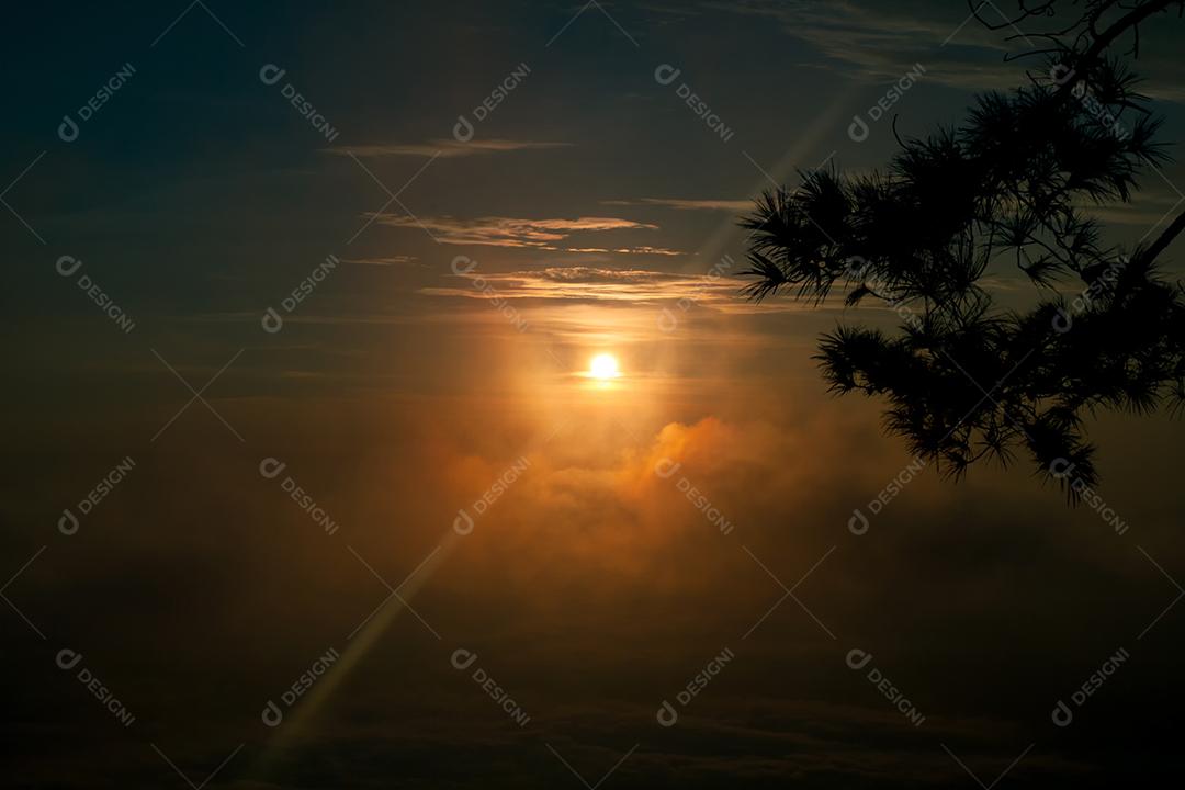Nuvens de neblina acima de forrest. Veja abaixo a paisagem de fadas. Colinas nevoentas da floresta.