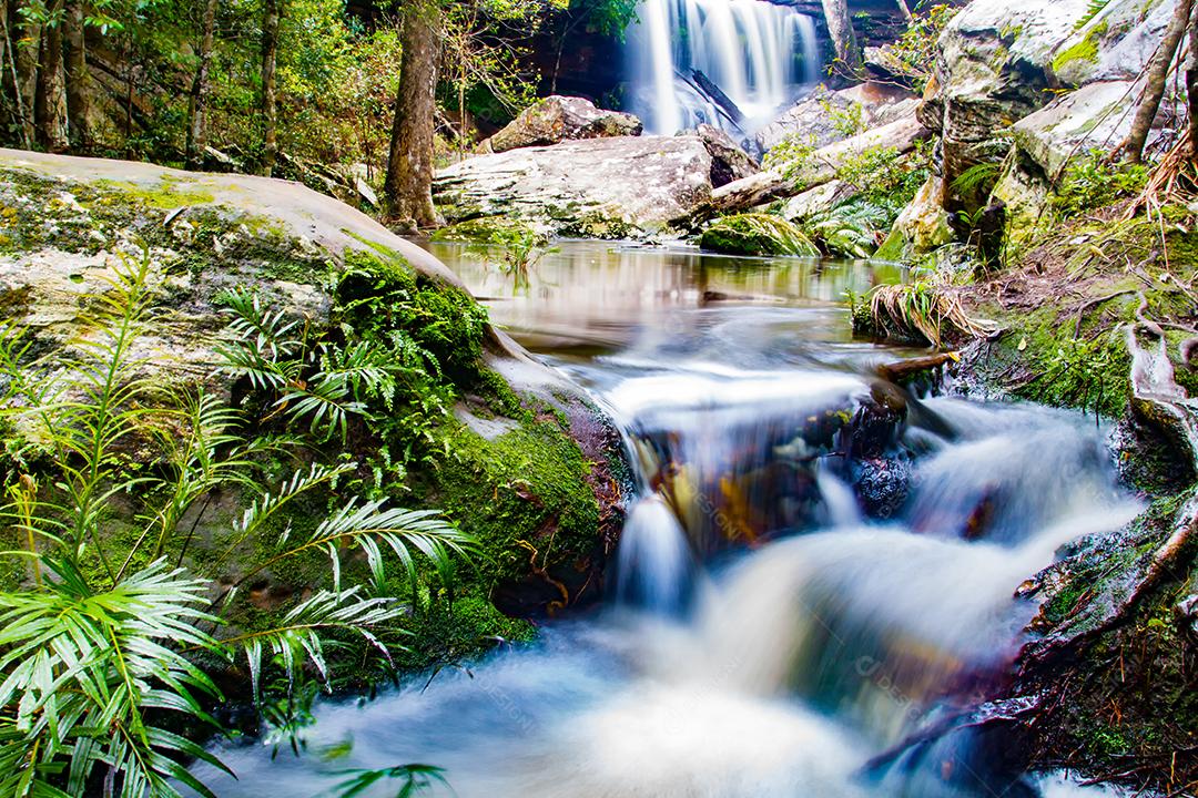 cachoeira na floresta profunda na tailândia