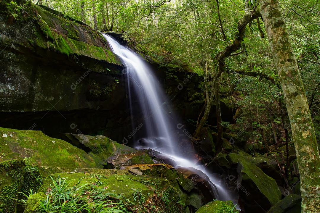 cachoeira na floresta profunda na tailândia