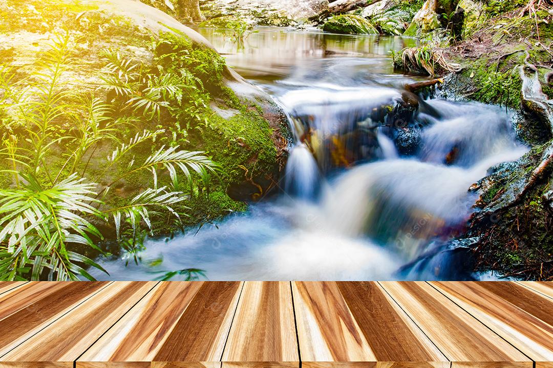 Madeira de perspectiva e madeira superior vazia de cachoeira na floresta profunda na tailândia