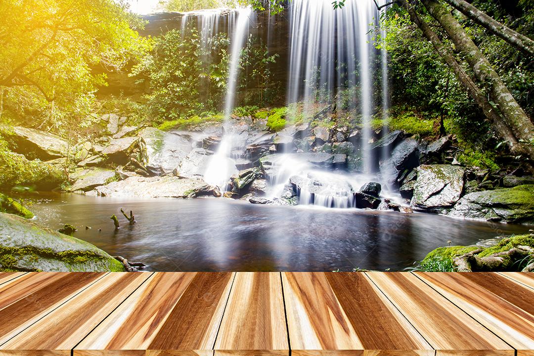 Madeira de perspectiva e madeira superior vazia de cachoeira na floresta profunda na tailândia
