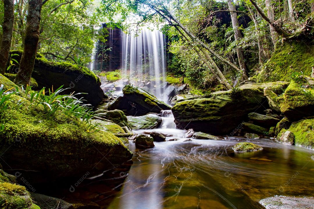 cachoeira na floresta profunda na tailândia
