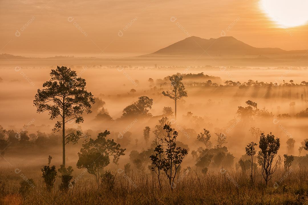 Belo pôr do sol e nuvens nebulosas na floresta no Parque Nacional Thung Salaeng Luang, Tailândia
