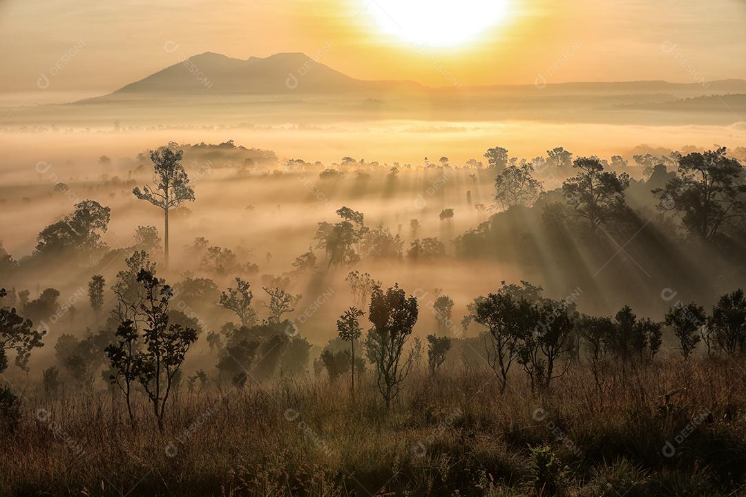 Belo pôr do sol e nuvens nebulosas na floresta no Parque Nacional Thung Salaeng Luang, Tailândia