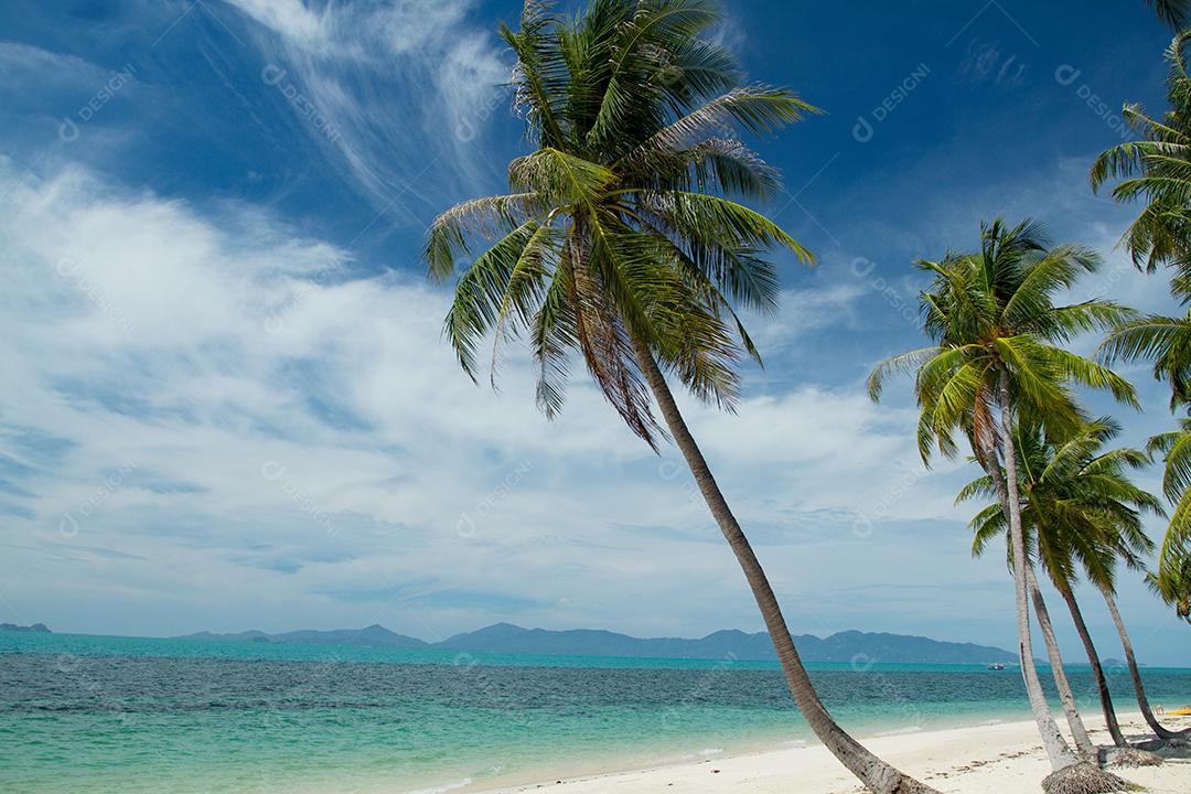 Palmeira de coco no sol e praia arenosa e mar tropical na ilha de Samui, fundo macio e embaçado