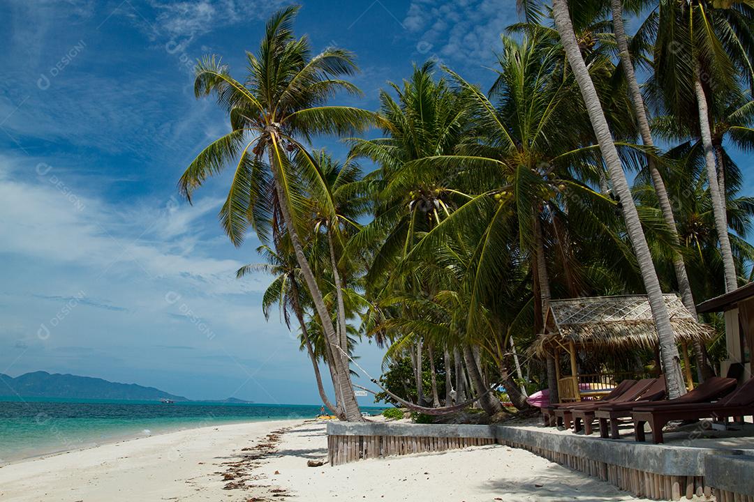 Palmeira de coco no sol e praia arenosa e mar tropical na ilha de Samui, fundo macio e embaçado