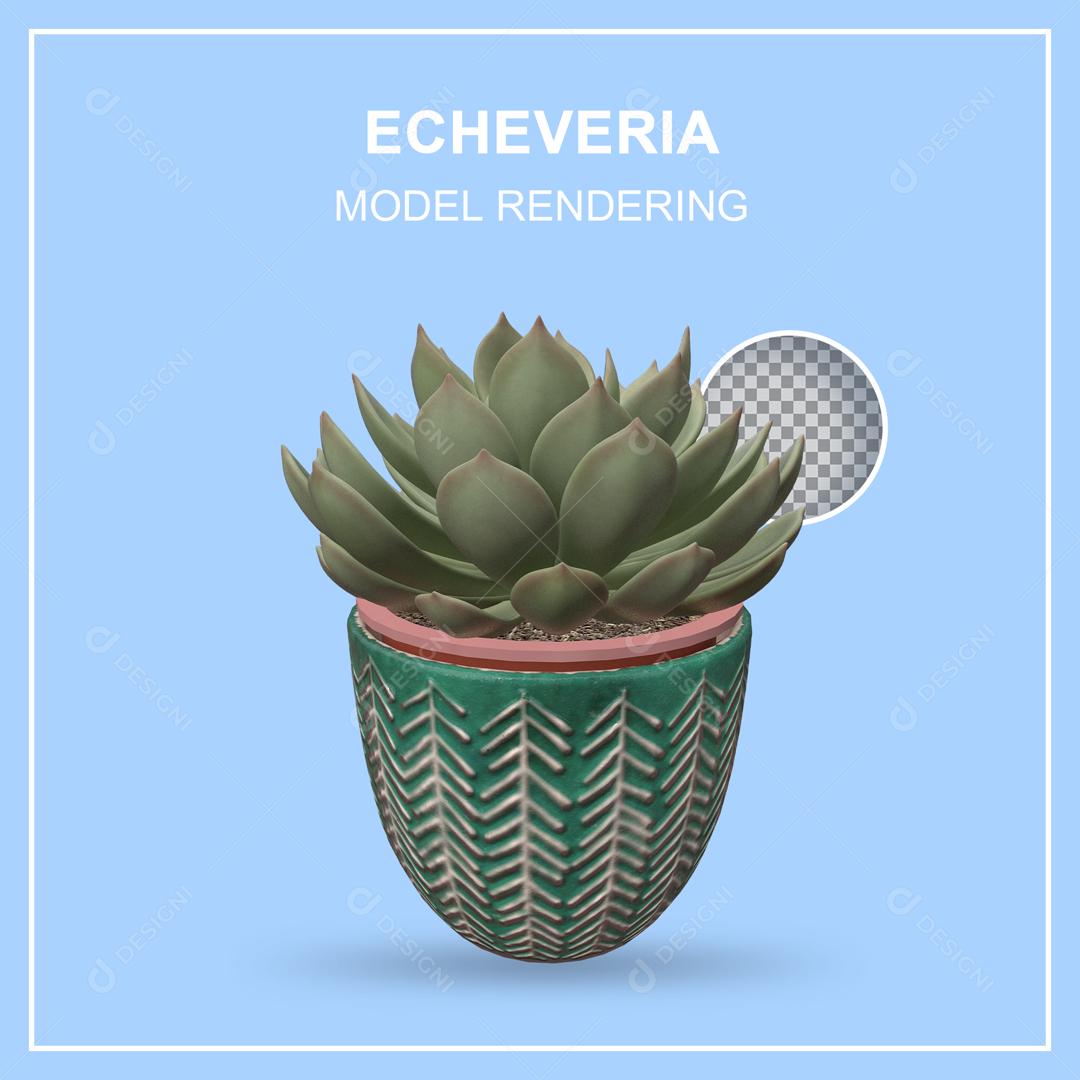 Planta Echeveria Ilustração 3D PSD