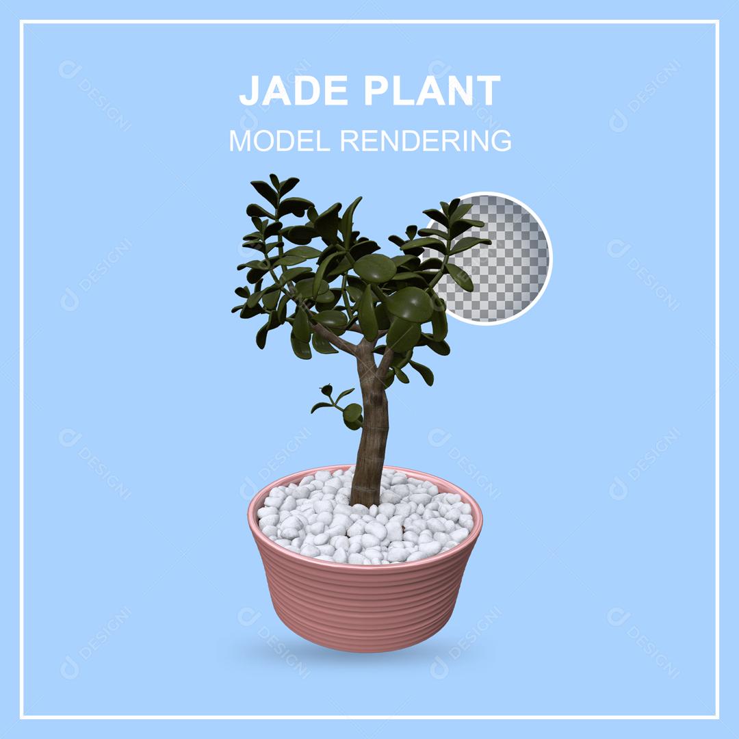 Ilustração 3D Planta de Jade PSD
