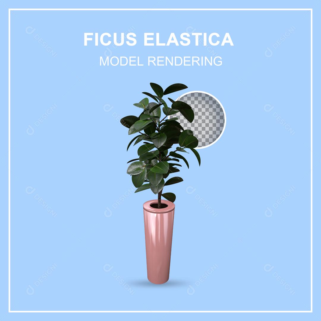 Planta Ficus Elástico Ilustração 3D PSD