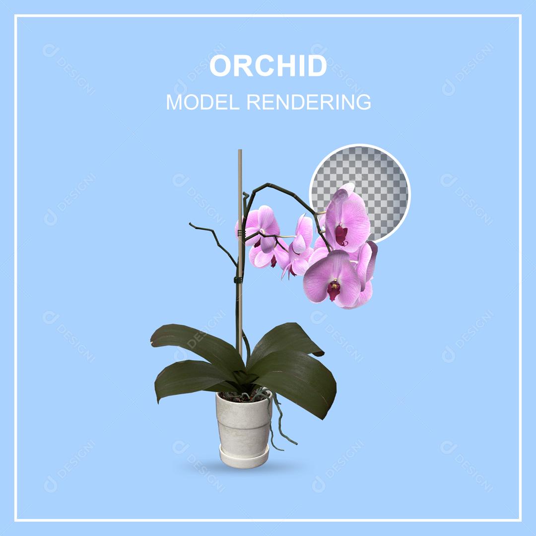 Planta Orquídea Ilustração 3D PSD